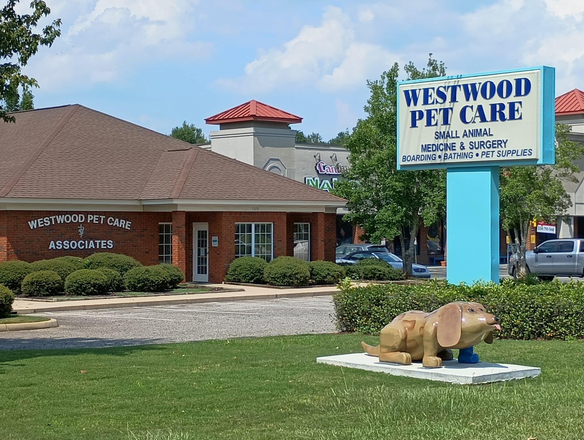 Clinic Tour of our Dothan Vet Clinic Westwood Pet Care
