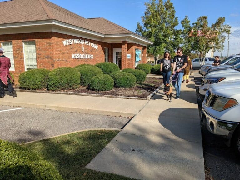 Clinic Tour of our Dothan Vet Clinic Westwood Pet Care