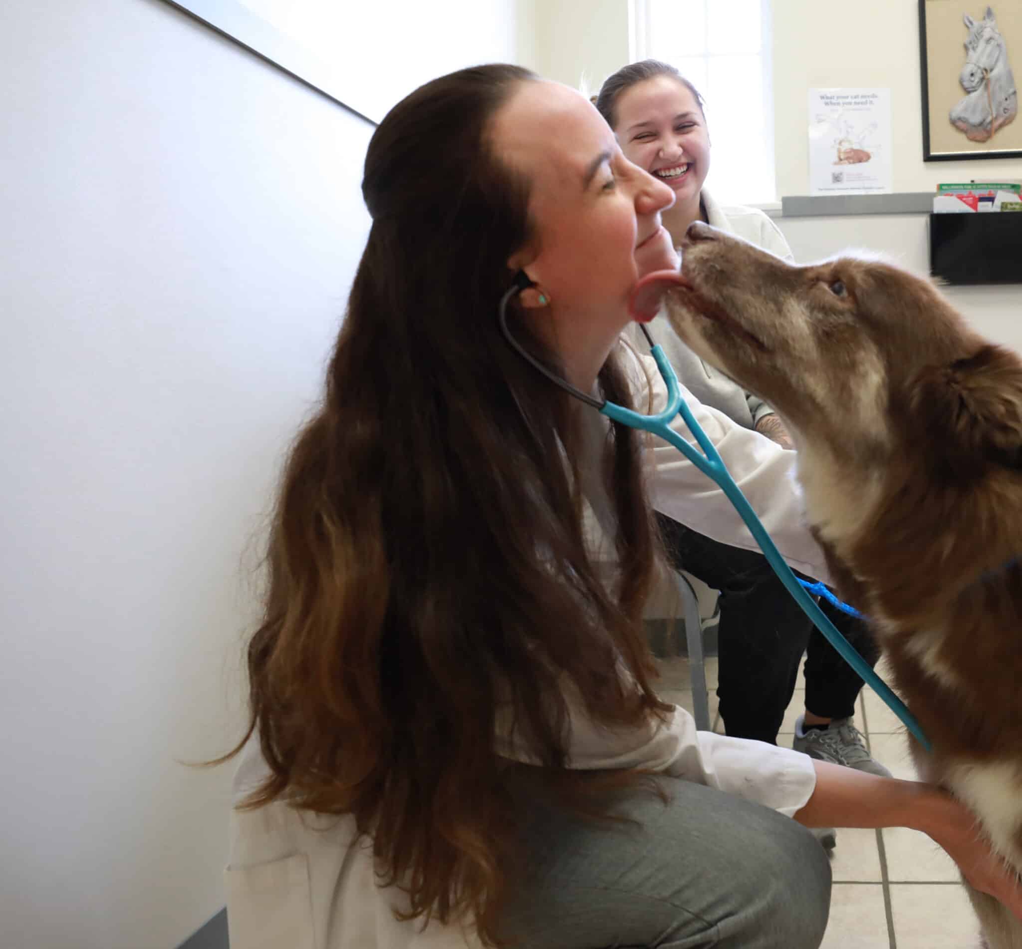 Westwood Pet Care Your Local Veterinarians in Dothan, AL