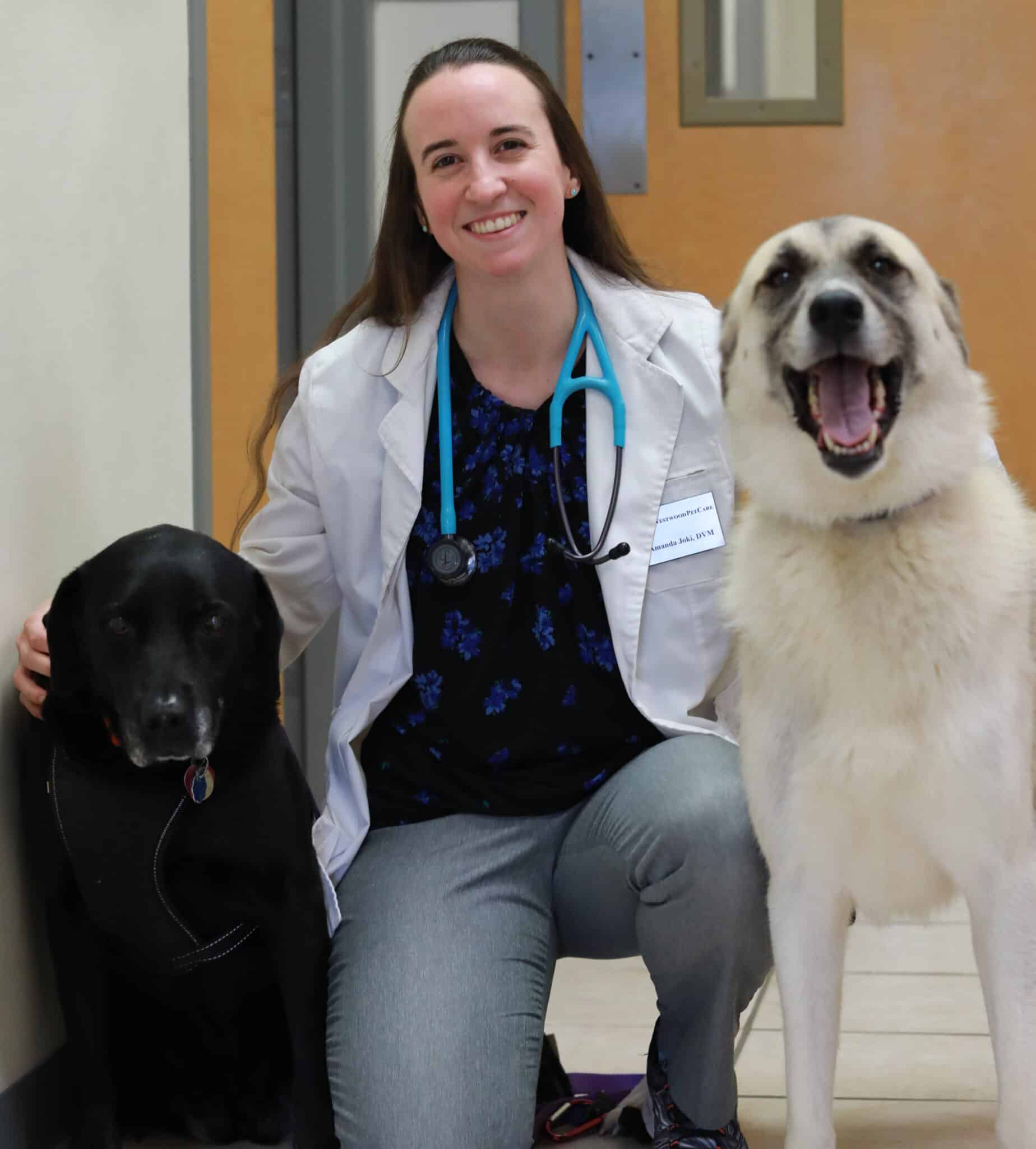 Westwood Pet Care Your Local Veterinarians in Dothan, AL