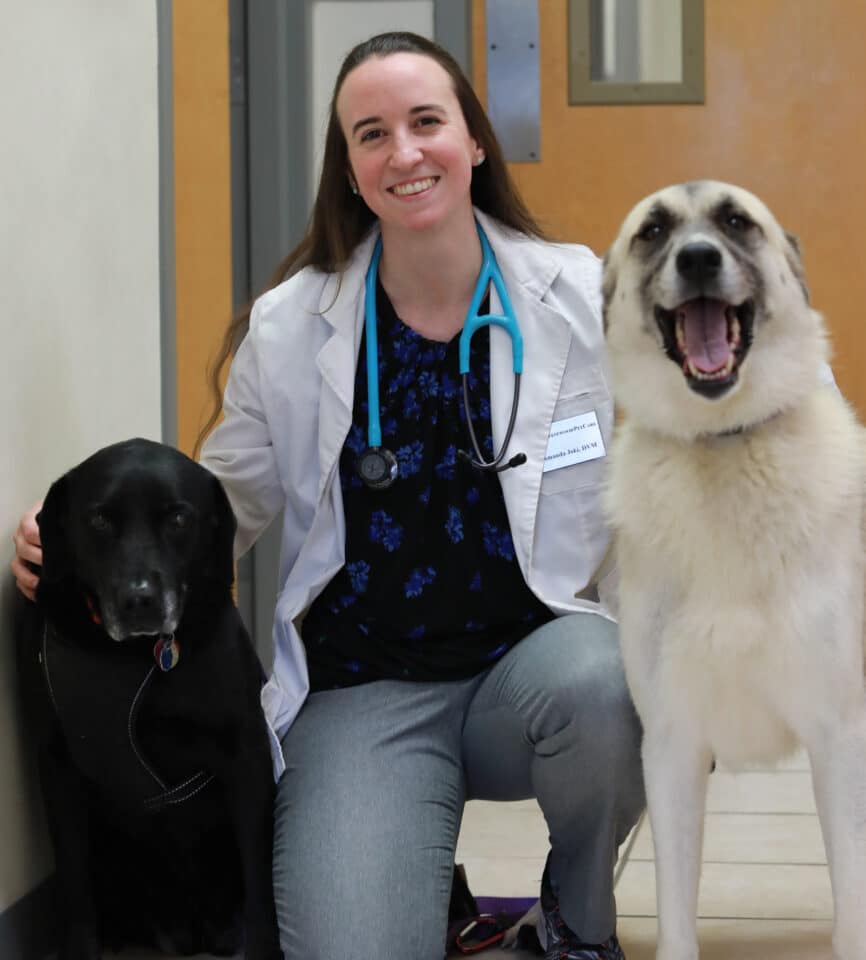 Westwood Pet Care Your Local Veterinarians in Dothan, AL