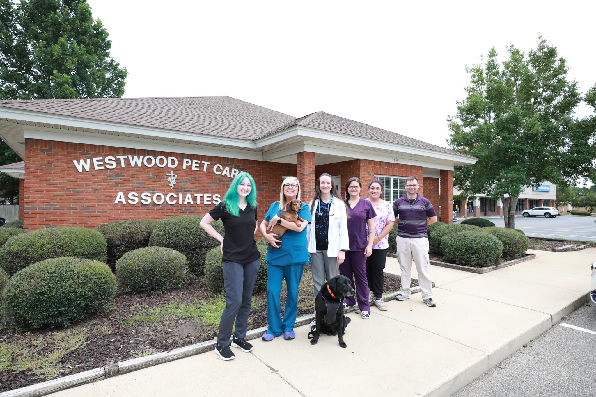 Clinic Tour of our Dothan Vet Clinic Westwood Pet Care