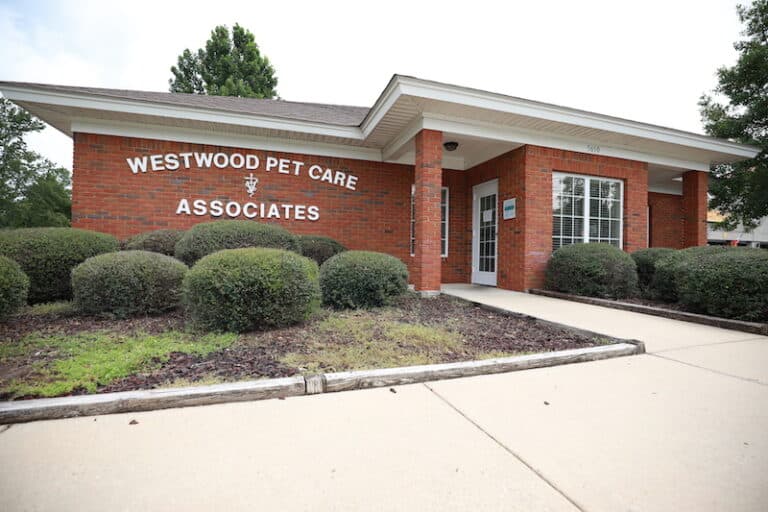 Clinic Tour of our Dothan Vet Clinic Westwood Pet Care